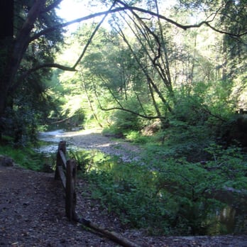 Samuel P Taylor State Park - A view of the creek and Sir Frances Drake Blvd. runs just on the other side. - Parks Near Me - Lagunitas, California Samuel P Taylor State Park - A view of the creek and Sir Frances Drake Blvd. runs just on the other side. - Parks Near Me - Lagunitas, California