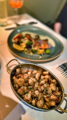 Stanley & Seafort's by null