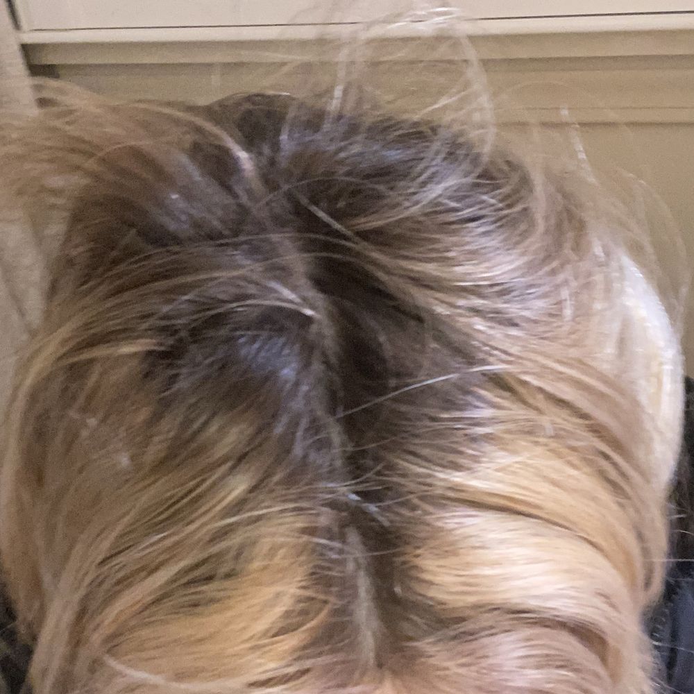 Alex Emilio Salon - Hair Salons Near Me - Royal Oak, Michigan