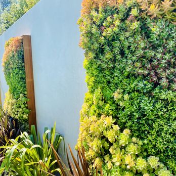 Pacific Vertical Gardens - Gardeners Near Me Pacific Vertical Gardens - Gardeners Near Me