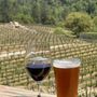 Photo of Gold Hill Vineyard & Brewery