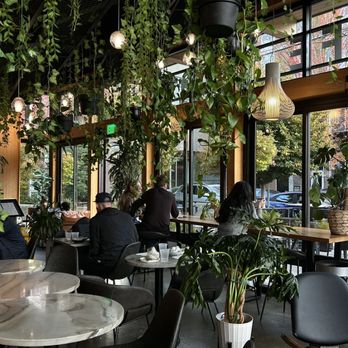 Café Hagen - Scandinavian Near Me - Seattle, Washington Café Hagen - Scandinavian Near Me - Seattle, Washington