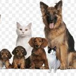 Pet Lovers Litas Thrift Boutique