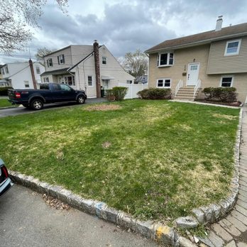 Royal Tree Service - Removed! - Tree Services Near Me - Elizabeth, New Jersey Royal Tree Service - Removed! - Tree Services Near Me - Elizabeth, New Jersey