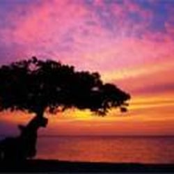 Accents On Cruises And Honeymoon Dreams Travel