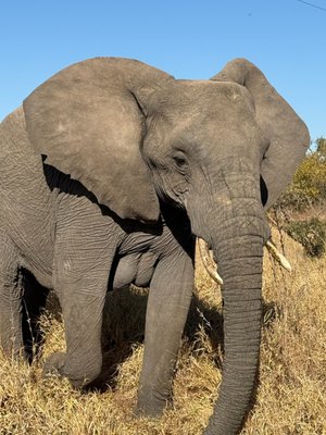 Africa Adventure Consultants by null