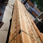 Photo of My Cedar