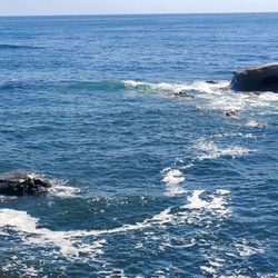 Bird Rock