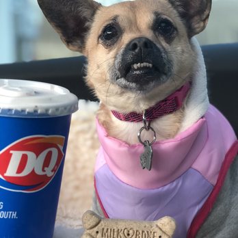 Dairy Queen Grill & Chill - Fast Food Near Me - Middletown, New York Dairy Queen Grill & Chill - Fast Food Near Me - Middletown, New York