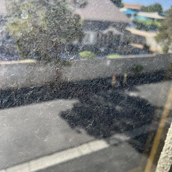 MDL Group - Water spots on the windows of most or all windows facing outside. They have never been clearned - Property Management Near Me - Las Vegas, Nevada MDL Group - Water spots on the windows of most or all windows facing outside. They have never been clearned - Property Management Near Me - Las Vegas, Nevada