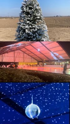 FIELDS OF ICE - Updated February 2026 - 42 Photos & 29 Reviews - 716 N ...