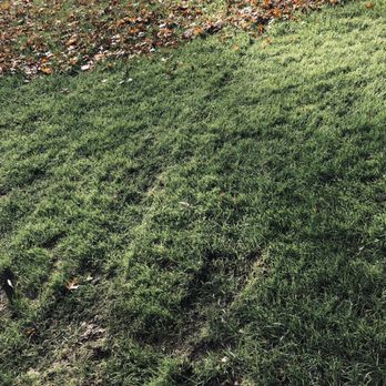 Michael & Son Services - Drove over 2 sprinkler heads - Plumbing Near Me - Alexandria, Virginia Michael & Son Services - Drove over 2 sprinkler heads - Plumbing Near Me - Alexandria, Virginia