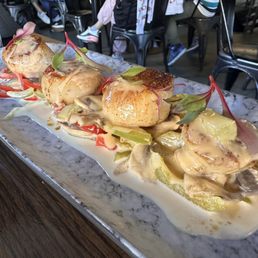 Scallops