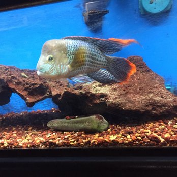 Clark's Pet Emporium - Pet Stores Near Me - Albuquerque, New Mexico
