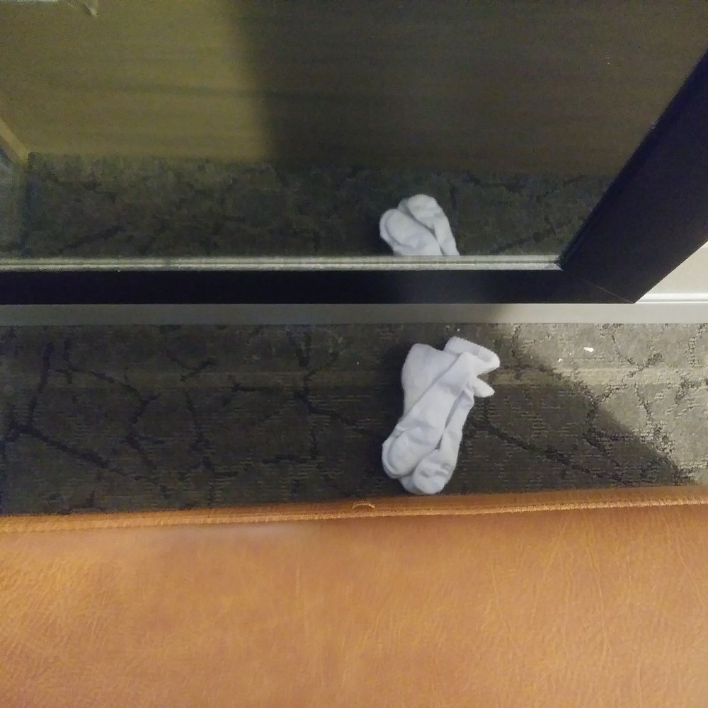 Marriott Savannah Riverfront - Not my socks - Hotels Near Me - Savannah, Georgia Marriott Savannah Riverfront - Not my socks - Hotels Near Me - Savannah, Georgia