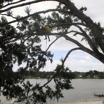 Affordable Arbor Care - Tree Services Near Me - Orlando, Florida Affordable Arbor Care - Tree Services Near Me - Orlando, Florida