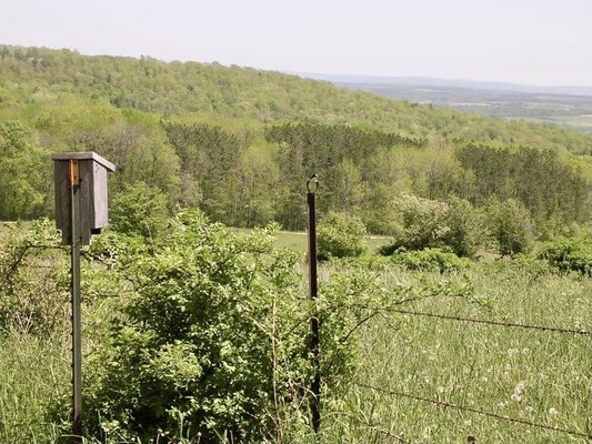 Finger Lakes National Forest by null