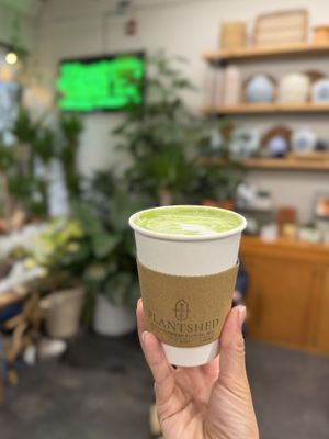 PlantShed With Englewood Florist