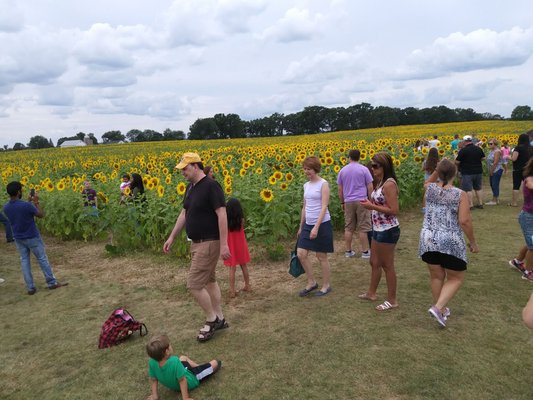 Pope Farm Conservancy by null