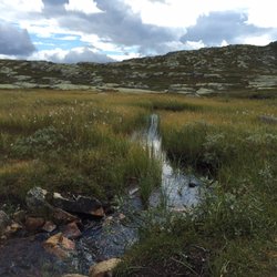 Gravolskampen
