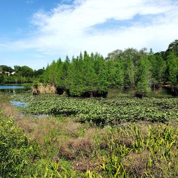 Kapok Park - Parks Near Me - Clearwater, Florida