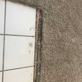 Johnny On the Spot - Area we needed patched - Carpet Cleaning Near Me - Elk Grove, California Johnny On the Spot - Area we needed patched - Carpet Cleaning Near Me - Elk Grove, California