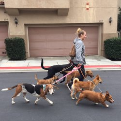 Follow the Leader Dog Training - The pack!