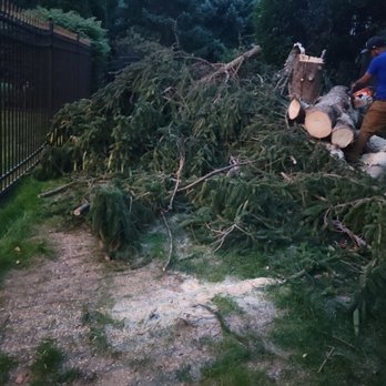 Jose Landscaping - We cut trees - Landscaping Near Me Jose Landscaping - We cut trees - Landscaping Near Me