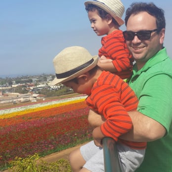 The Flower Fields - Beautiful view of Flower Fields. It's free! - Venues & Event Spaces Near Me - Carlsbad, California The Flower Fields - Beautiful view of Flower Fields. It's free! - Venues & Event Spaces Near Me - Carlsbad, California