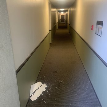 Park Regency Club - Pieces fell on my husband while taking the trash out. We're we compensated anything???? No!! - Apartments Near Me - Downey, California