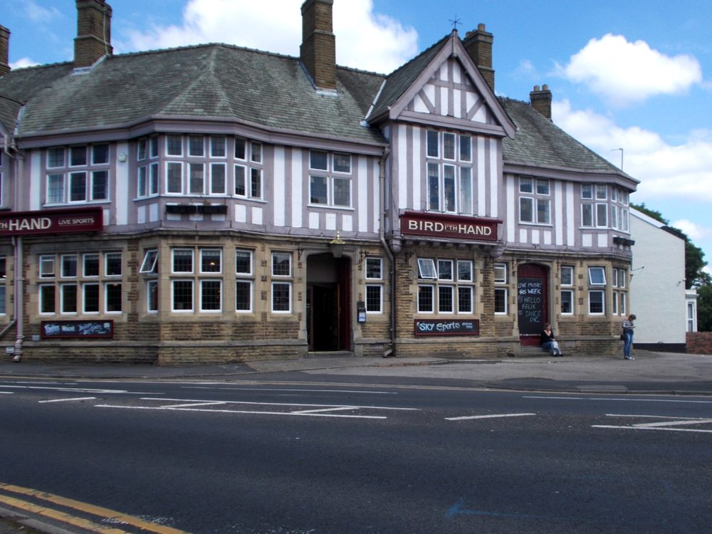 Bird I Th Hand St Helens