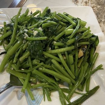 Jiu Fu Cafe 明记 - Chinese Near Me - Houston, Texas