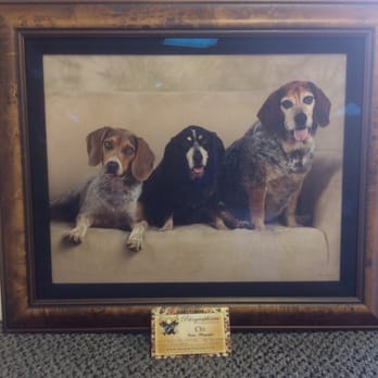 Fastframe - Las Vegas - Pet'ographique is proud to support this local business.....look what I saw when I was in placing my order today?! - Framing Near Me - Las Vegas, Nevada Fastframe - Las Vegas - Pet'ographique is proud to support this local business.....look what I saw when I was in placing my order today?! - Framing Near Me - Las Vegas, Nevada
