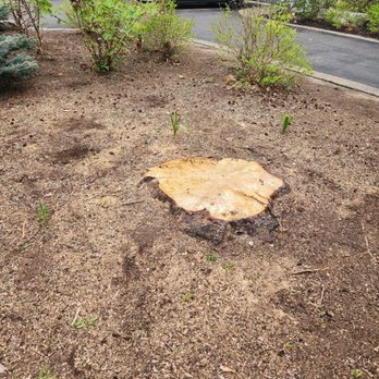 Big Foot Tree Care - Tree Services Near Me