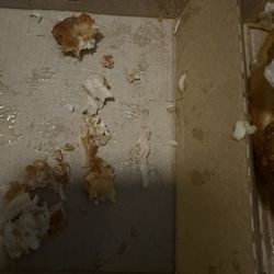Wendy's - Looks gross because I had to spit out my entire first bite. But the bone is there