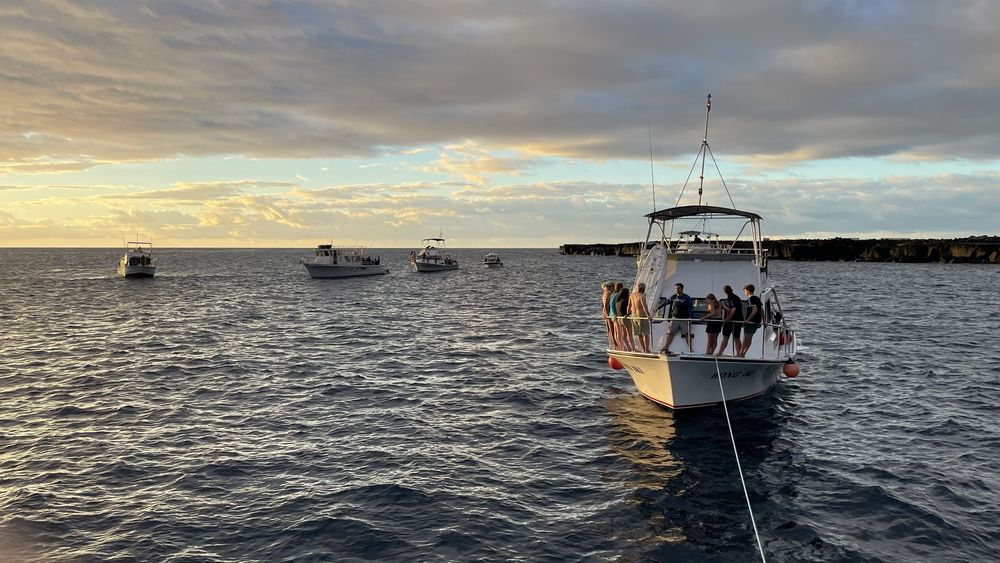 JACK’S DIVING LOCKER Updated October 2024 235 Photos & 513 Reviews