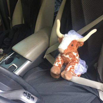Build-A-Bear Workshop - Toy Stores Near Me - San Antonio, Texas