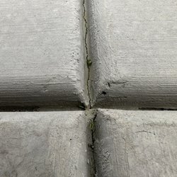 Family Time Pools - Less than 6 months in and you can see grass growing out of this concrete work.