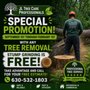 JL Tree Care Professional