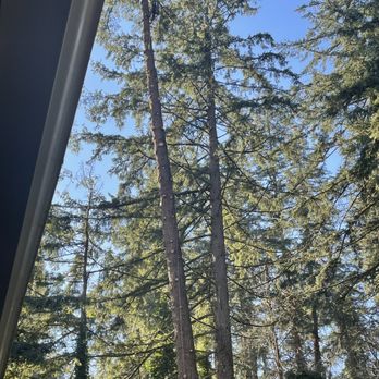 Karhu Tree Service - Tree Services Near Me