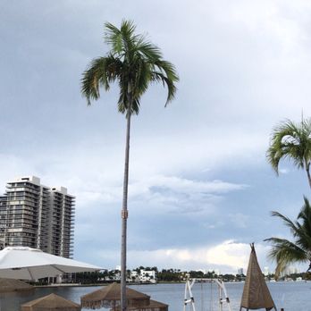 Joia Beach - Beautiful View - Modern European Near Me - Miami, Florida