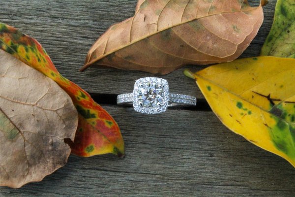 REEDS JEWELERS - Updated August 2024 - 32 Photos & 19 Reviews - 6910 