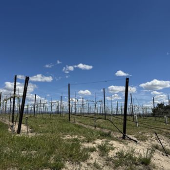 Dude DeWalts Cellars - Wine Tasting Room Near Me - Eagle, Idaho Dude DeWalts Cellars - Wine Tasting Room Near Me - Eagle, Idaho