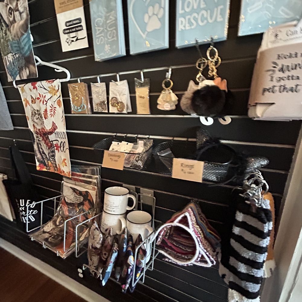Kitten Around Cat Lounge - a collection of cats - Themed Cafes Near Me - Carthage, North Carolina