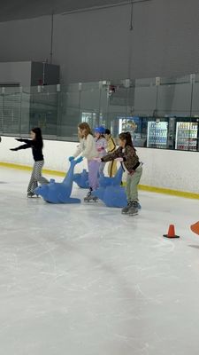 LA Kings Ice Burbank (Pickwick) by null