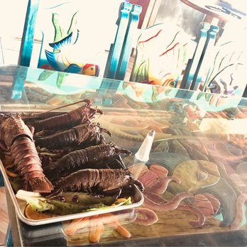 Playa Delfin - The Show Lobsters that entice you. - Seafood Near Me - Puerto Nuevo, BCN Playa Delfin - The Show Lobsters that entice you. - Seafood Near Me - Puerto Nuevo, BCN