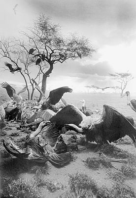 Kunstsammlung Nordrhein-Westfalen by null