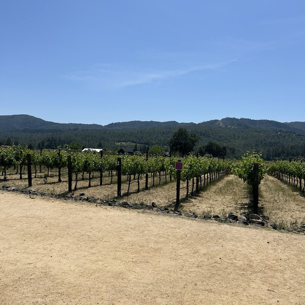 HALL Wines - Vineyards - Wineries Near Me - Saint Helena, California HALL Wines - Vineyards - Wineries Near Me - Saint Helena, California