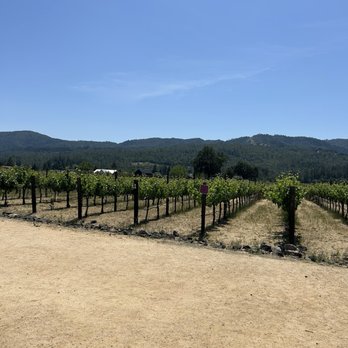 HALL Wines - Vineyards - Wineries Near Me - Saint Helena, California