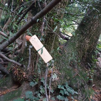Bridgeview Trail - Flower pot hat troll - Dog Parks Near Me - Oakland, California